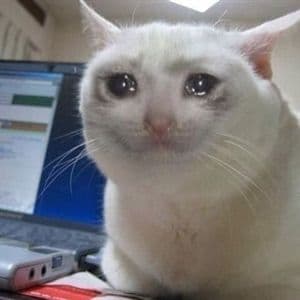 crying-cat