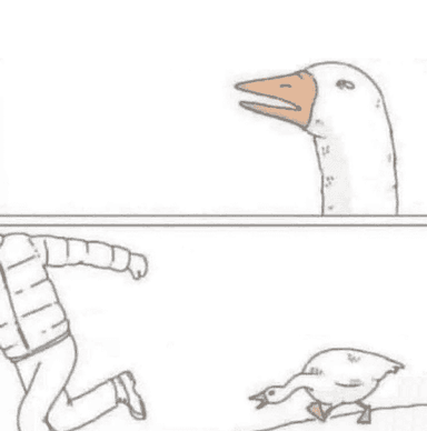 goose-chase
