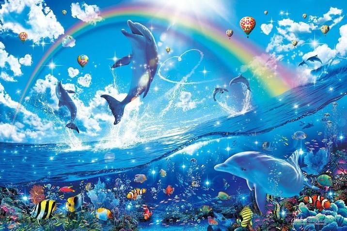 happy-dolphin-rainbow