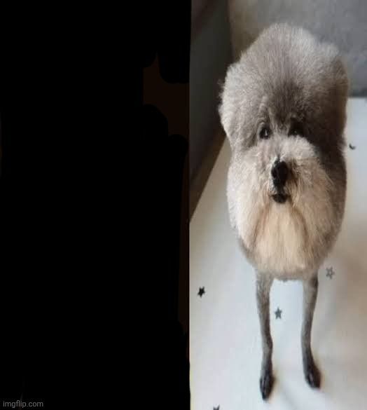 he-made-a-statement-blank