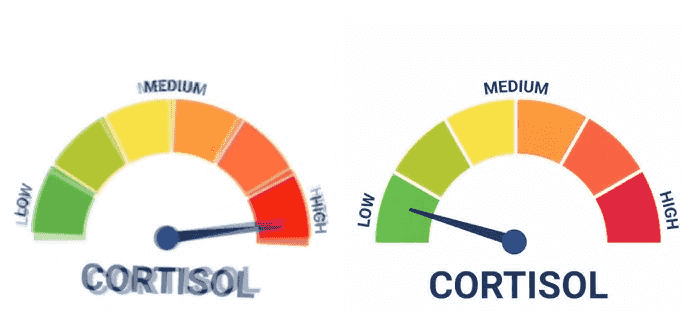 high-vs-low-cortisol