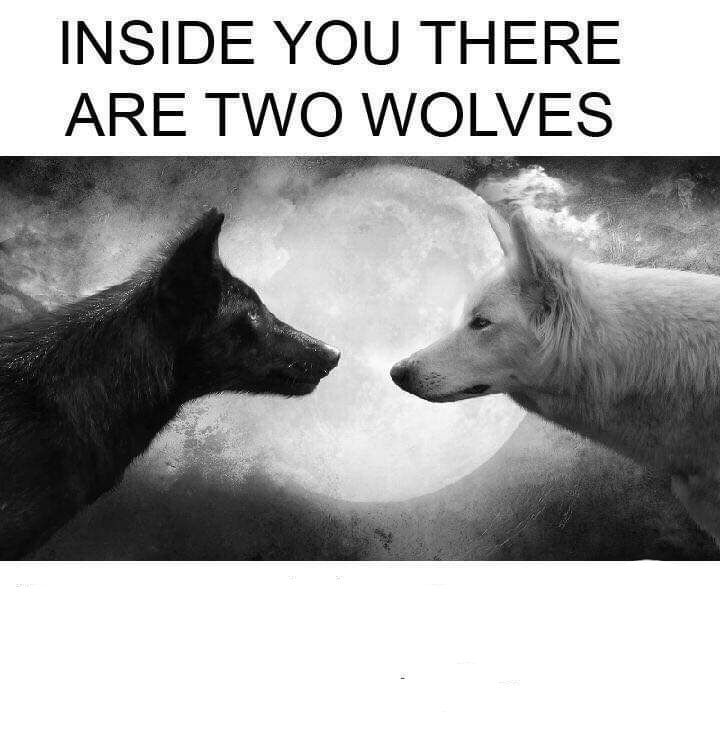 inside-you-there-are-two-wolves