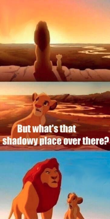 simba-shadowy-place