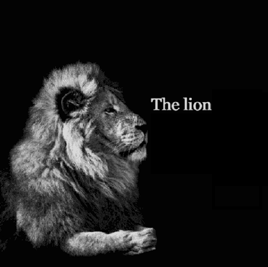 The-lion-tiktok-template